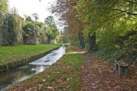 Cjp_2012_10_17_101454.jpg