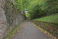 Cjp_2012_10_17_115558.jpg