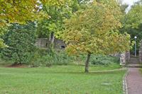 Cjp_2012_10_17_115730.jpg