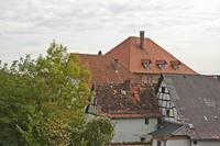 Cjp_2012_10_17_120534.jpg
