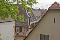 Cjp_2012_10_17_121228.jpg
