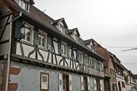 Cjp_2012_10_17_123048.jpg