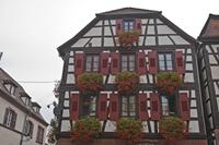 Cjp_2012_10_17_124144.jpg