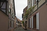 Cjp_2012_10_17_131844.jpg