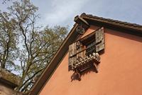 Cjp_2012_10_17_132604.jpg