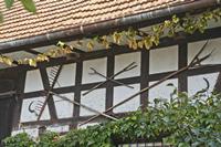 Cjp_2012_10_17_143048.jpg