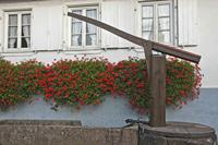 Cjp_2012_10_17_144354.jpg