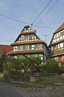 Cjp_2012_10_17_145110.jpg