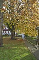 Cjp_2012_10_17_150020.jpg