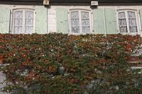 Cjp_2012_10_17_151242.jpg