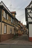 Cjp_2012_10_18_070040.jpg