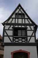 Cjp_2012_10_18_070206.jpg