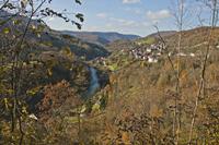 Cjp_2012_11_13_122654.jpg