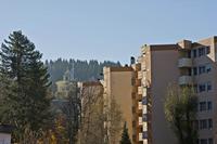 Cjp_2012_11_14_091832.jpg