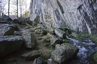 Cjp_2012_11_14_142716.jpg