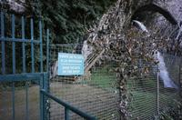 Cjp_2012_11_14_142754.jpg
