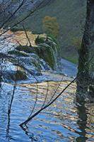 Cjp_2012_11_14_143208.jpg