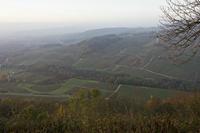 Cjp_2012_11_14_154942.jpg