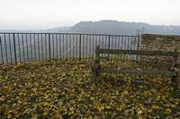 Cjp_2012_11_14_155314.jpg