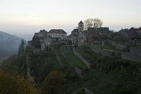 Cjp_2012_11_14_160108.jpg