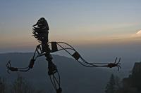 Cjp_2012_11_14_160952.jpg
