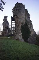Cjp_2012_11_14_161750.jpg