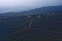 Cjp_2012_11_14_163220.jpg