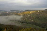 Cjp_2012_11_15_073624.jpg