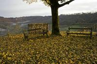 Cjp_2012_11_15_073656.jpg