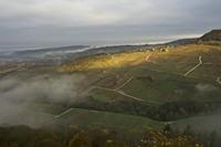 Cjp_2012_11_15_073728.jpg