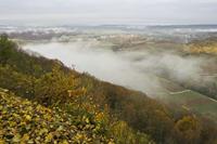 Cjp_2012_11_15_073744.jpg