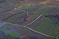 Cjp_2012_11_15_073820.jpg