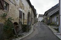 Cjp_2012_11_15_074954.jpg