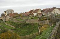 Cjp_2012_11_15_080350.jpg
