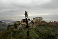 Cjp_2012_11_15_080920.jpg