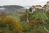 Cjp_2012_11_15_081000.jpg