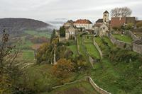 Cjp_2012_11_15_081026.jpg