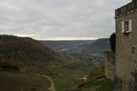 Cjp_2012_11_15_082438.jpg