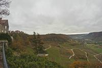 Cjp_2012_11_15_084738.jpg