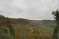 Cjp_2012_11_15_084804.jpg