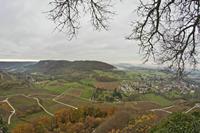 Cjp_2012_11_15_084822.jpg