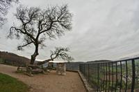 Cjp_2012_11_15_084956.jpg