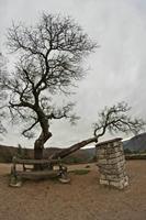 Cjp_2012_11_15_085042.jpg