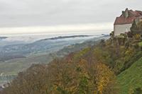 Cjp_2012_11_15_085222.jpg