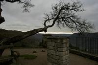 Cjp_2012_11_15_085454.jpg