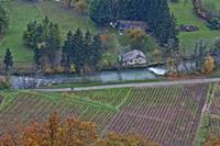 Cjp_2012_11_15_085626.jpg