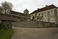 Cjp_2012_11_15_090104.jpg