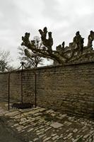 Cjp_2012_11_15_090212.jpg