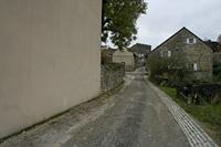 Cjp_2012_11_15_091250.jpg