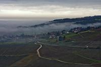 Cjp_2012_11_15_092532.jpg